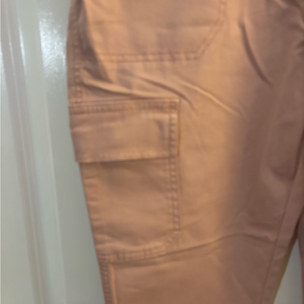 Talbots Cargo Pants in Dusty Pink Sz 8 petite NWOT - Picture 3 of 8